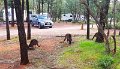 20170511_150723