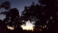 20170515_065434