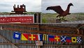 S7167