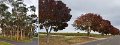 S7187