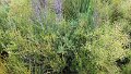 20170525_141844