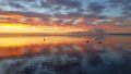 20170523_073753
