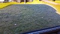 20170602_084533