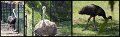 003DubboZoo8