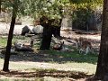 DSCN0169