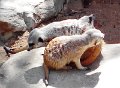 IMG_20150205_092358