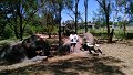 IMG_20150205_115420