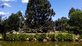 IMG_20150205_134039