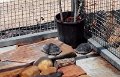 IMG_20150205_135951