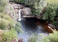 DSCN0331