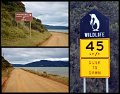 030Bruny4