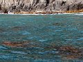 DSCN0385