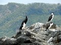 DSCN0424
