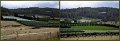 040Swansea7