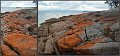 042Freycinet