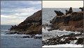 042Freycinet11