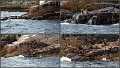 042Freycinet12