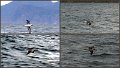 042Freycinet5