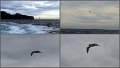 042Freycinet8