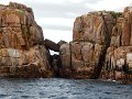 DSCN0664