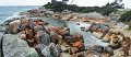 045BayOfFiresPan03
