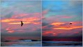 045Sunrise