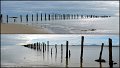 048Bridport1
