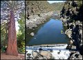 059Launceston3