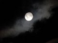 DSCN0749