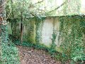 DSC05052