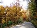 DSC05494