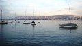 DSC05695
