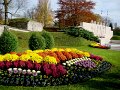 DSC05997