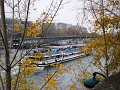 DSC06428