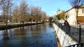 DSC07602