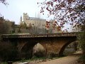 DSC07748