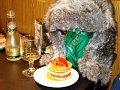 DSC08032
