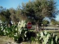 DSC08293