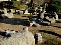 DSC08392