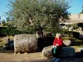 DSC08393