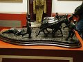 DSC08669