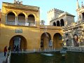 DSC08773