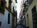 DSC08787