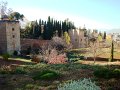 DSC09036