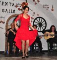 Flamenco2