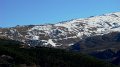 DSC09228