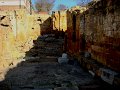 DSC09639