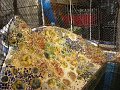 DSC09797