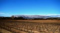 DSC00089