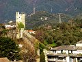DSC00549